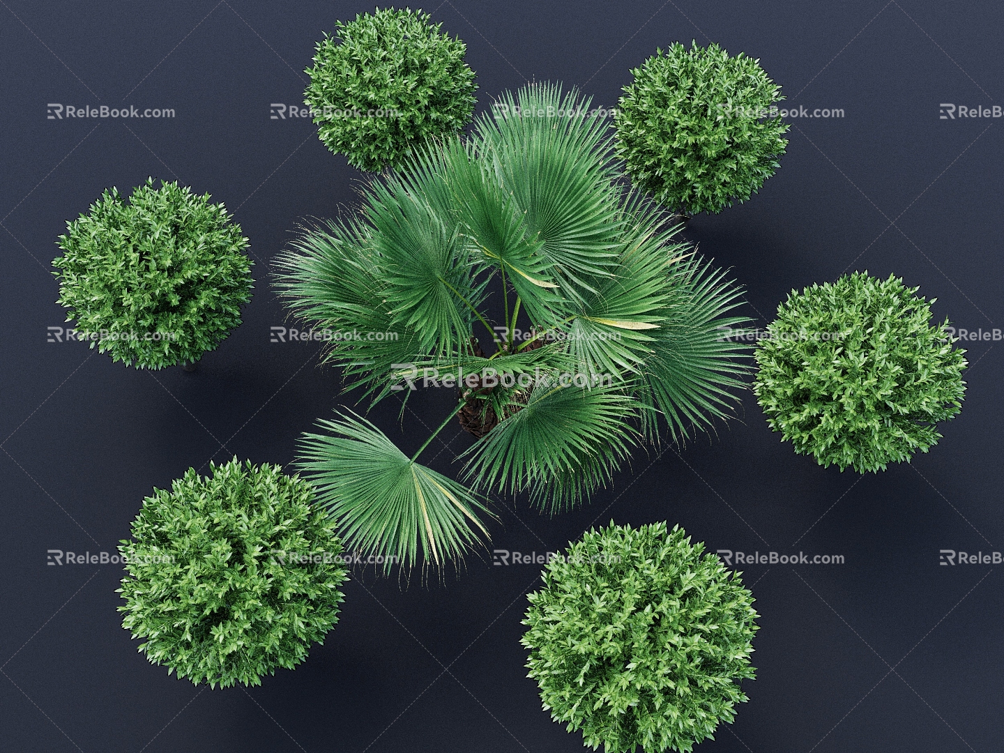 Palm Tree Laurel Green Leaf Plant Scrub Tree Landscape Plant Shrub 3D Model 3d model