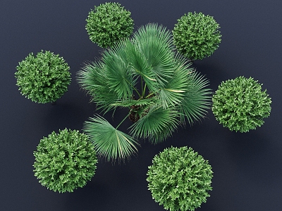 Palm Tree Laurel Green Leaf Plant Scrub Tree Landscape Plant Shrub 3D Model 3d model