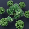 Palm Tree Laurel Green Leaf Plant Scrub Tree Landscape Plant Shrub 3D Model 3d model