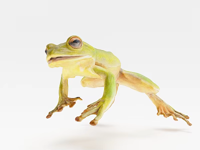 Green Reptile Lizard Standing Isolated On White Background With Detailed Features 3d model