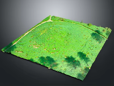 Green Lawn Surface With Pathway And Tree Shadows In Open Area 3d model