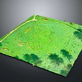 Green Lawn Surface With Pathway And Tree Shadows In Open Area