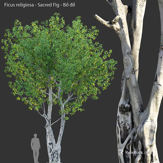Tree Pit With Green Leafy Trees And Natural Design In Urban Landscape 3d model 