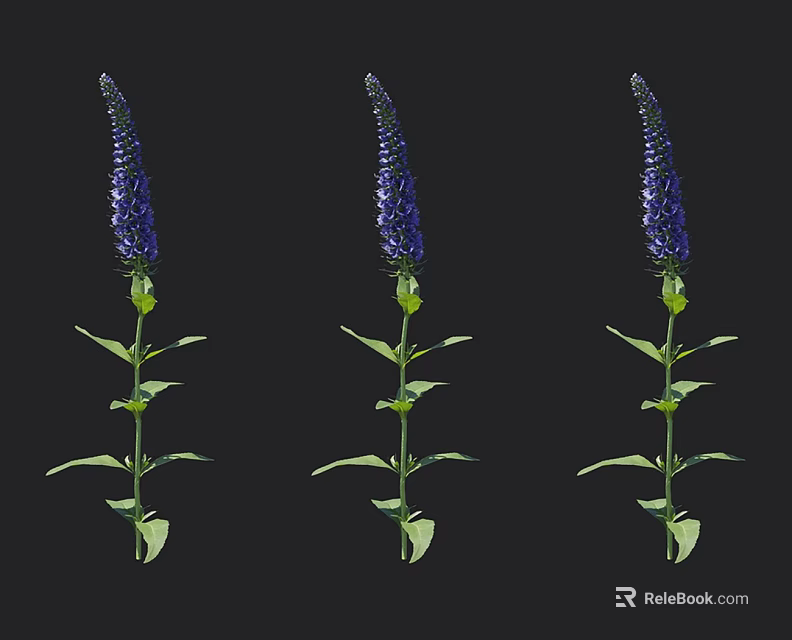 Three Blooming Blue Flowers with Green Stems and Leaves Standing Upright 3d model 