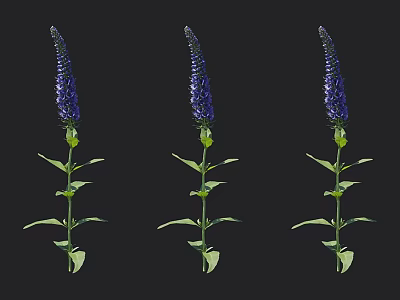 Three Blooming Blue Flowers with Green Stems and Leaves Standing Upright 3d model