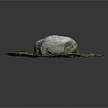 Natural Outdoor Scene With Large Rock On Green Grass And Small Plants