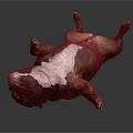Brown and white bulldog lying on back with paws up on dark background