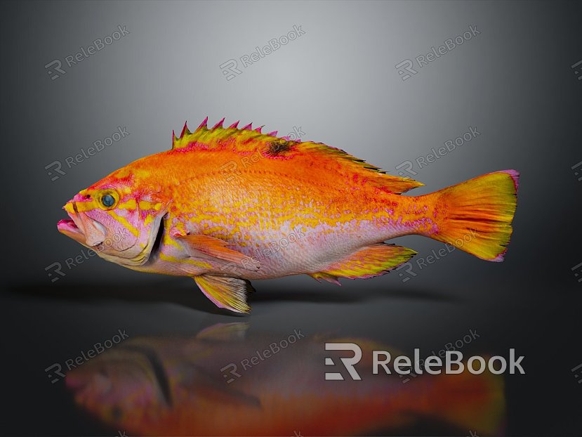 Catfish Carp Sturgeon Bass Freshwater Fish Various Carp Grass Carp Crucian Carp model