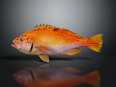 Orange And Yellow Fish Shaped Household Decor With Red Fins And Reflection 3d model