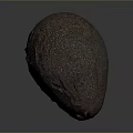 Fresh Ripe Avocado With Dark Green Textured Skin And Brown Stem