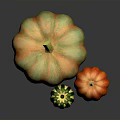 Large Orange Green Striped Small Green White Medium Orange Red Pumpkins On Dark Reflective Surface