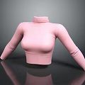 Pink Turtleneck Cropped Sweater With Slim Fit Design And Soft Knit Fabric