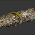 Vibrant yellow lizard perched on rough weathered tree bark in natural outdoor setting