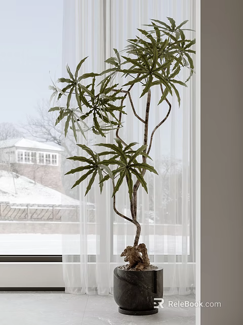 Indoor Bonsai Tree With Green Leaves And Twisted Trunk By Window Snowy Scene 3d model 