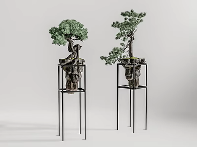 Decorative Bonsai Trees on Black Metal Stands in Minimalist Light Gray Background 3d model
