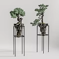 Decorative Bonsai Trees on Black Metal Stands in Minimalist Light Gray Background