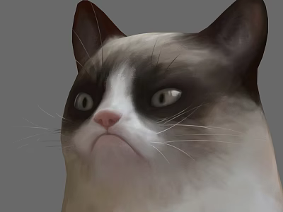 Irritable Cat Expression Pack Cat Pet Character 3d model Irritable Cat Expression Pack Cat Pet Character 3d model