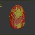 Fresh Chinese Cabbage With Green Leaves And White Stalk On Dark Background