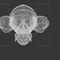 3D Armored Insect Creature Character With Horned Head And Muscular Body