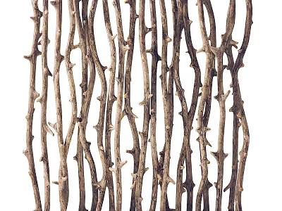 Natural Wooden Twig Wall Decor with Intricate Branch Pattern for Home Interior 3d model
