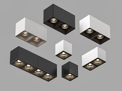 Modern Downlights and Spotlights with Black White Designs for Home Interior Lighting 3d model