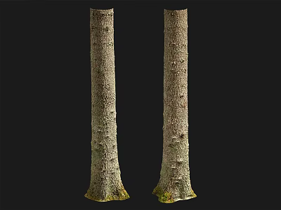 Natural Wood Trunks With Rough Bark Texture And Organic Natural Design Elements 3d model
