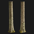 Natural Wood Trunks With Rough Bark Texture And Organic Natural Design Elements 3d model