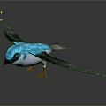 Flying blue and white bird with black wings and red claws in grey gradient background