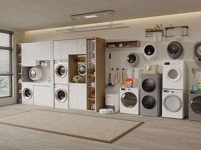 White and Gray Washing Machines in Modern Laundry Room with Storage Cabinets 3d model