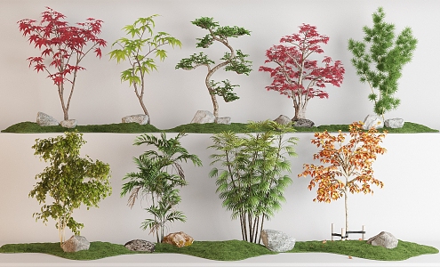 Maple Leaf Plant Combination Red Maple Scatter Kwai Maple Leaf Pine Coniferous Bamboo Arbor Tree 3d model