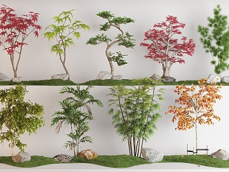 Maple Leaf Plant Combination Red Maple Scatter Kwai Maple Leaf Pine Coniferous Bamboo Arbor Tree 3d model