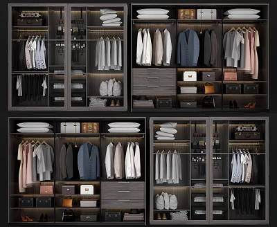 Organized Modern Closet Interior Design With Storage Solutions For Hanging Folded Clothes And Drawers 3d model