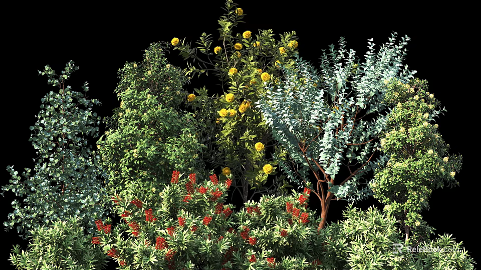 Diverse Flowering Shrubs With Yellow Red Blooms And Lush Green Foliage 3d model 