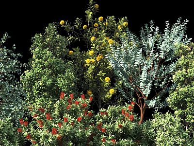 Diverse Flowering Shrubs With Yellow Red Blooms And Lush Green Foliage 3d model