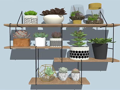 Bonsai Potted Plants On Multi tiered Shelf With Various Pots And Succulents For Interior Decoration 3d model