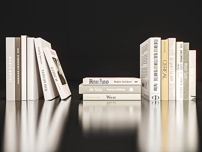Stacked Books With White Covers Featuring Rantaro Jan Star And Wert Titles 3d model