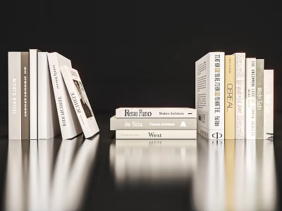 Modern Book Ornaments 3d model