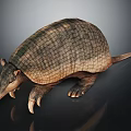 Realistic Armadillo With Scaly Armor Shell Detailed Body Structure And Standing Posture 3d model