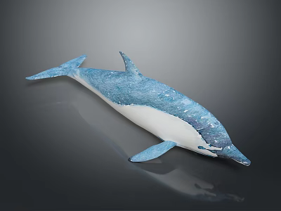 Blue And White Dolphin Model With Glossy Surface And Detailed Design On Gray Background 3d model