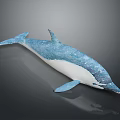 Blue And White Dolphin Model With Glossy Surface And Detailed Design On Gray Background
