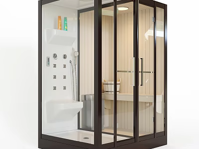 Modern SPA Sauna Interior Design With Glass Enclosure Wooden Walls And Shower Bench 3d model
