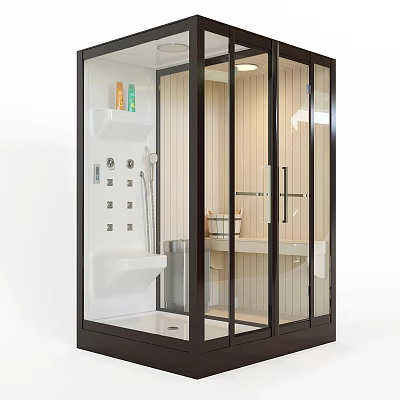 Modern SPA Sauna Interior Design With Glass Enclosure Wooden Walls And Shower Bench 3d model