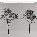 Modern Tree Landscape Tree 3d model