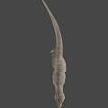 Realistic Reptile Tyrannosaurus Rex Dinosaur Model With Open Mouth Sharp Teeth And Detailed Skin Texture