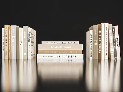 Stacked Books And Magazines With The Photography Notebook Le Mode Journal On Reflective Surface 3d model