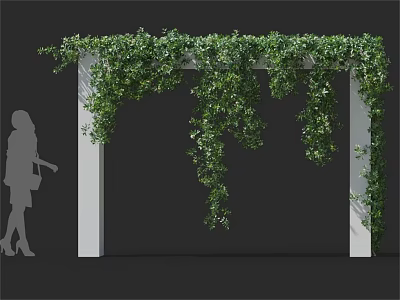 Lush Green Vines Covering White Pergola With Hanging Foliage In Garden 3d model