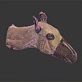 Handmade Animal Skull Sculpture With Leather Material Brown Beige Color Horns And Black Background Reflection