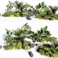 Various Green Tropical Plants With Lush Foliage And Decorative Stones Arrangement
