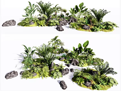 Various Green Tropical Plants With Lush Foliage And Decorative Stones Arrangement 3d model