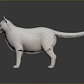 Realistic 3D White Cat With Yellow Eyes And Pink Nose On Shiny Surface 3d model